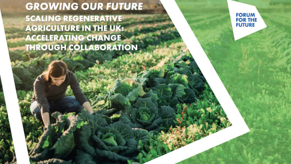 Scaling regenerative agriculture in the UK: Accelerating change through collaboration